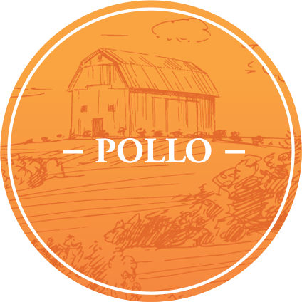 Pollo